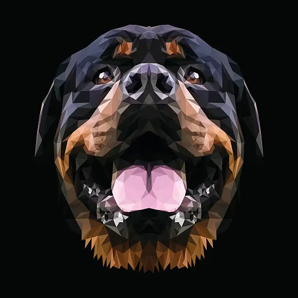 Vector illustration of Rottweiler dog animal low poly design.
