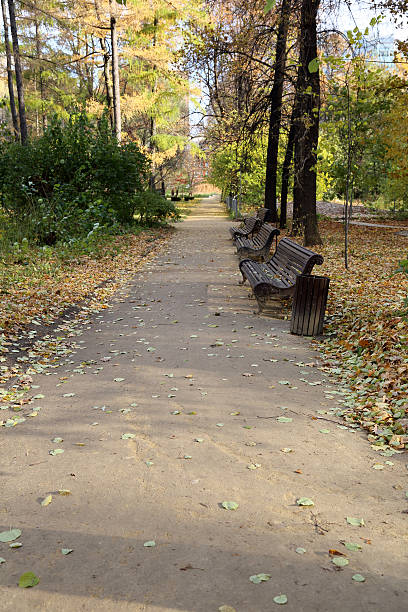 istock Autumn city park 617585204