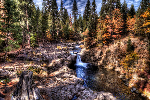 automne à mccloud falls - burney photos et images de collection