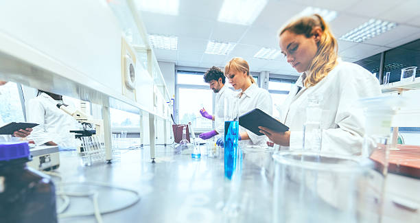 istock Group of scientists working in laboratory 617587026