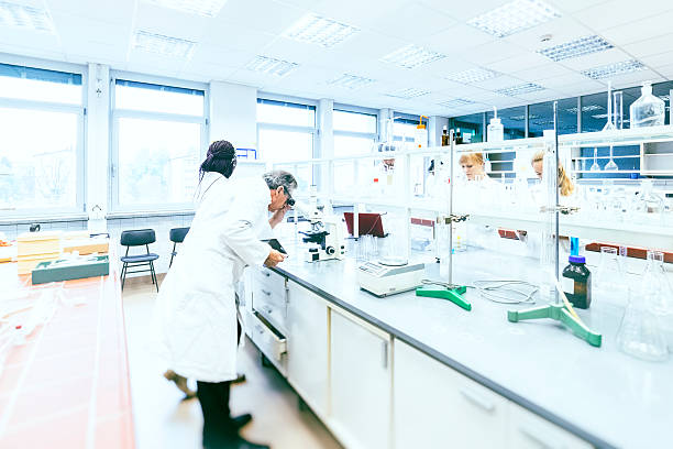 istock Group of scientists working in laboratory 617587058