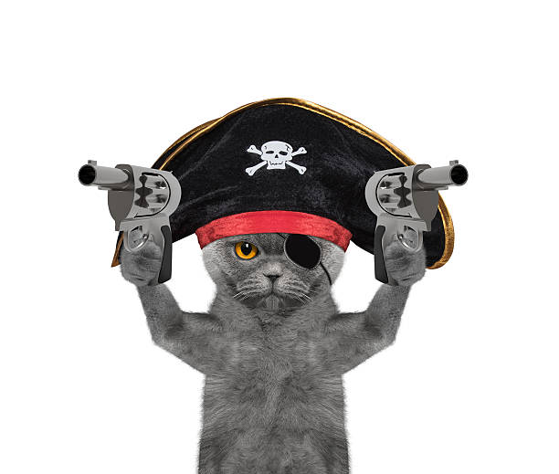 istock cat in a pirate costume with guns 617588376
