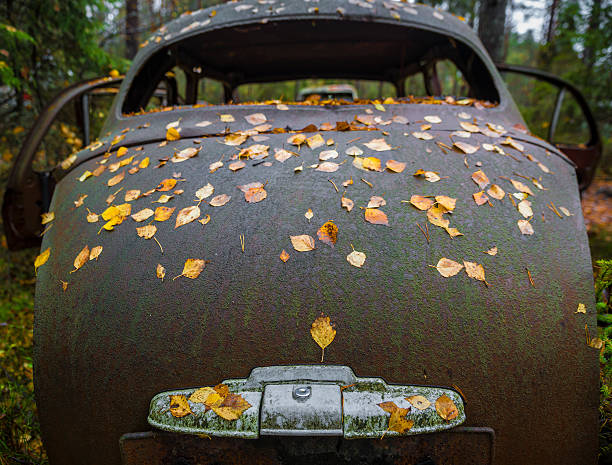 istock Rusty abandoned car in autumn forest 617589874