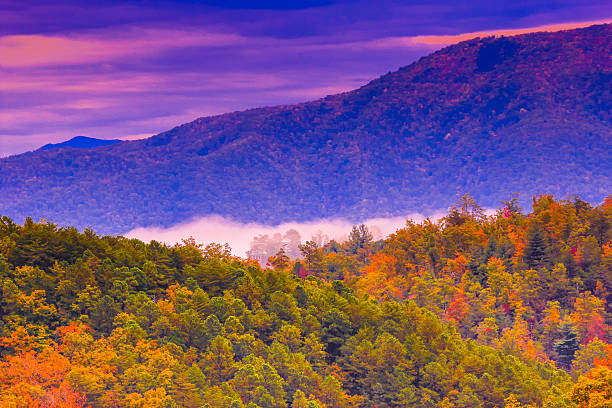 istock Fall colors in Great Smoky Mountains 617592204