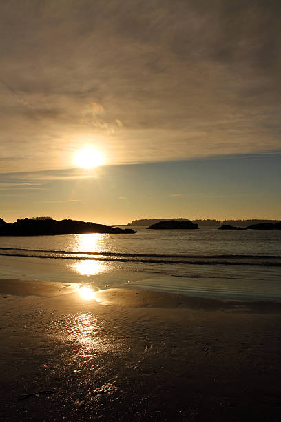 istock Gold Painted Tofino Beach 617593518