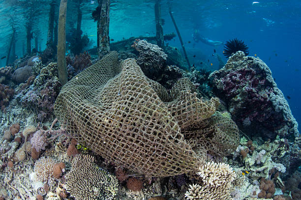istock Ghost Fishing Net on Coral Reef 617596578