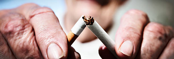 Giving up smoking: wrinkled hands break last cigarette The wrinkled hands of an old man snap a symbolic final cigarette in half, showing it's never too late to give up smoking! smokers wrinkles stock pictures, royalty-free photos & images