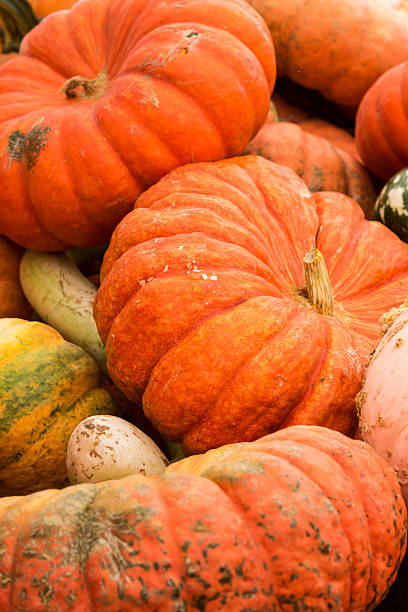 istock Heap of Pumpkins (full frame) 617598494