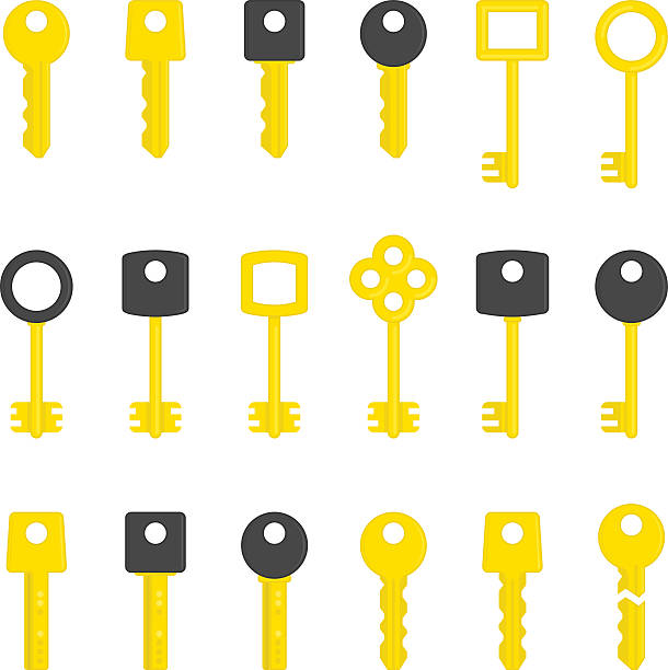 ilustrações de stock, clip art, desenhos animados e ícones de vector key set. - skeleton key