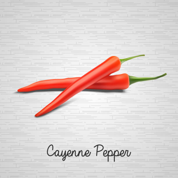 red hot chilli перец на белом фоне  - white background full studio shot close up stock illustrations