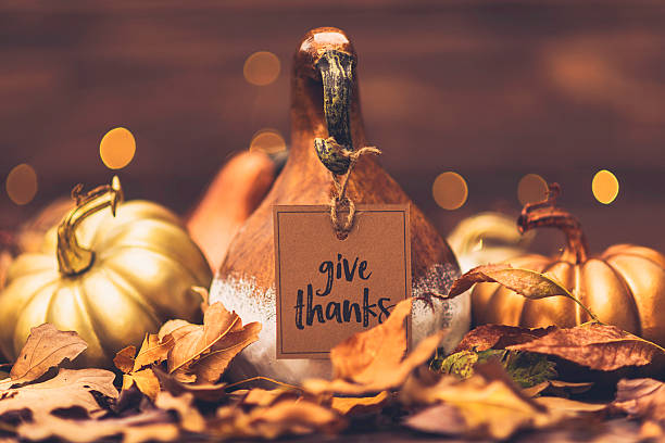istock Luxurious still life arrangement for Thanksgiving or Halloween. Fall holidays 617604468