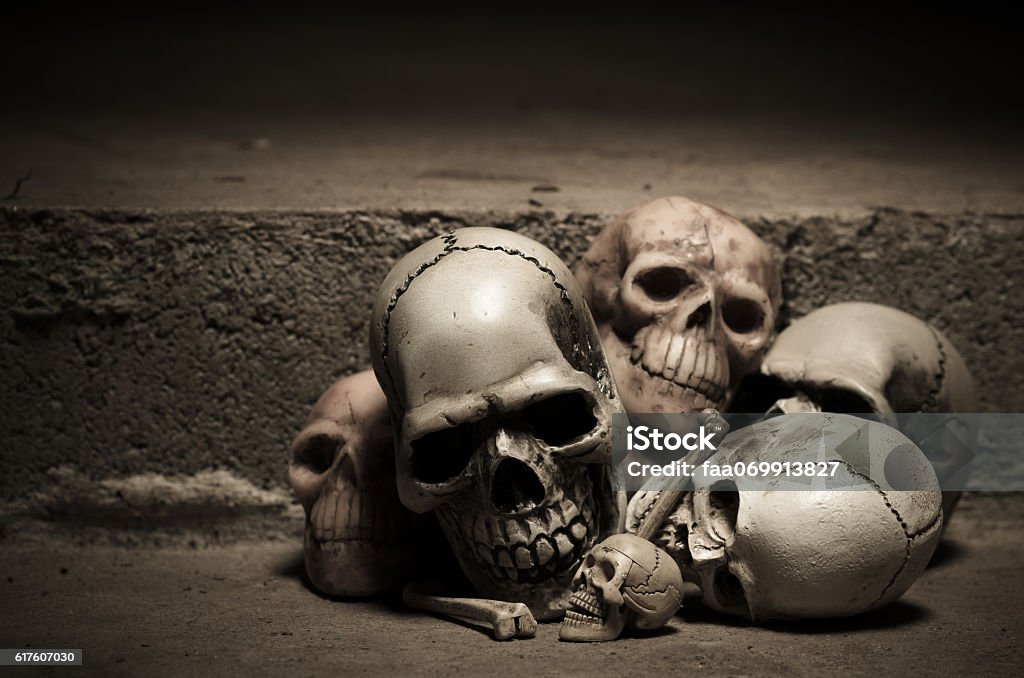 human skulls on old stairs halloween skull on dark background idea for halloween and other horror purposes Anatomy Stock Photo