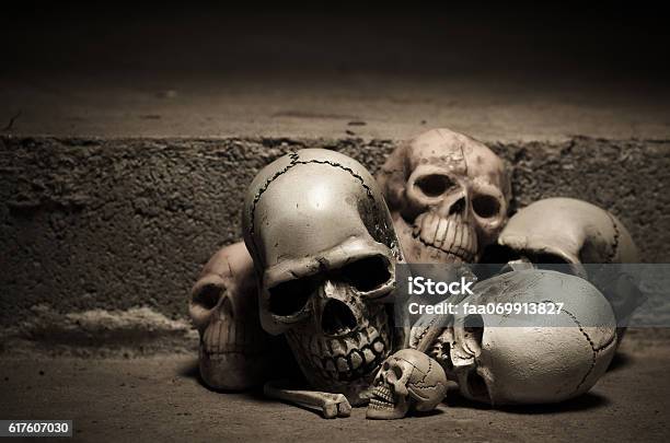 Human Skulls On Old Stairs Stock Photo - Download Image Now - Anatomy, Antique, Brown