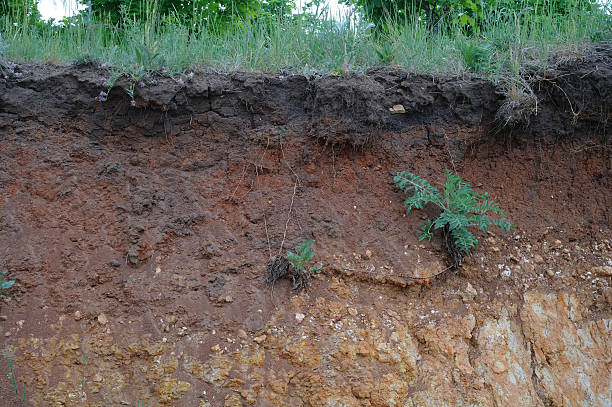 istock Details of layers of soil under ground 617733260