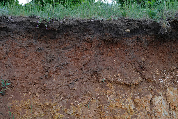 istock Details of layers of soil under ground 617733282