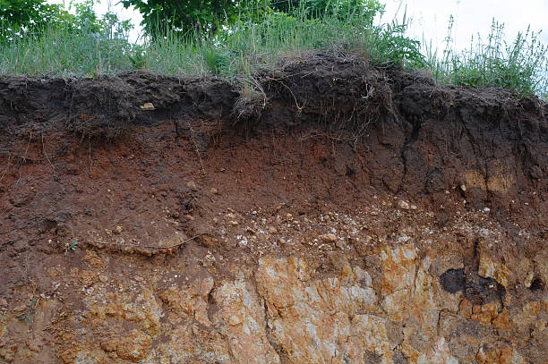 istock Details of layers of soil under ground 617733300
