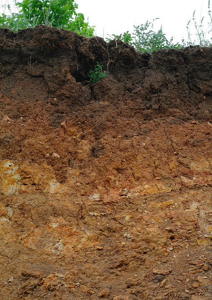 istock Details of layers of soil under ground 617733342