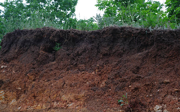 istock Details of layers of soil under ground 617733364