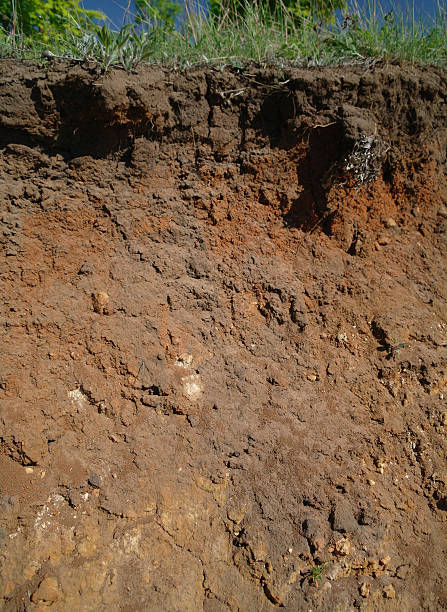 istock Details of layers of soil under ground 617733380