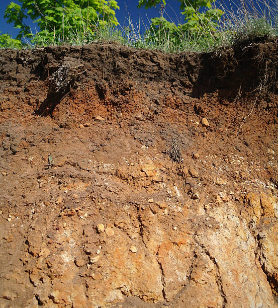 istock Details of layers of soil under ground 617733428