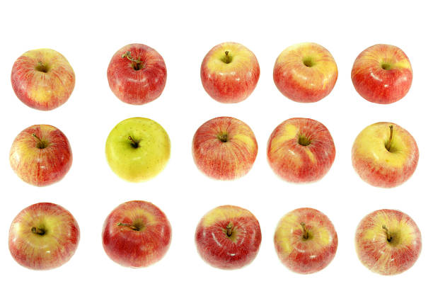istock one ripe yellow apple with red apples 617735182