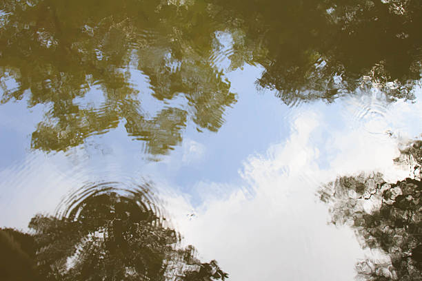 istock Sky reflected on the surface of the water 617739116