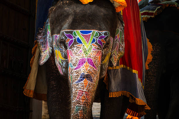 istock Painted elephant in Jaipur, India 617740132