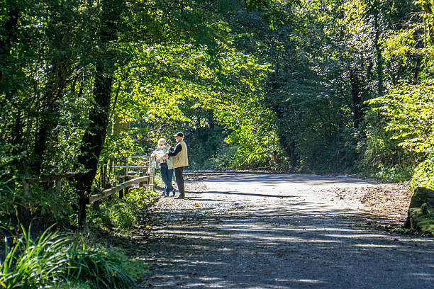 pareja mirando el mapa en el camino del bosque - map uk hiking reading fotografías e imágenes de stock