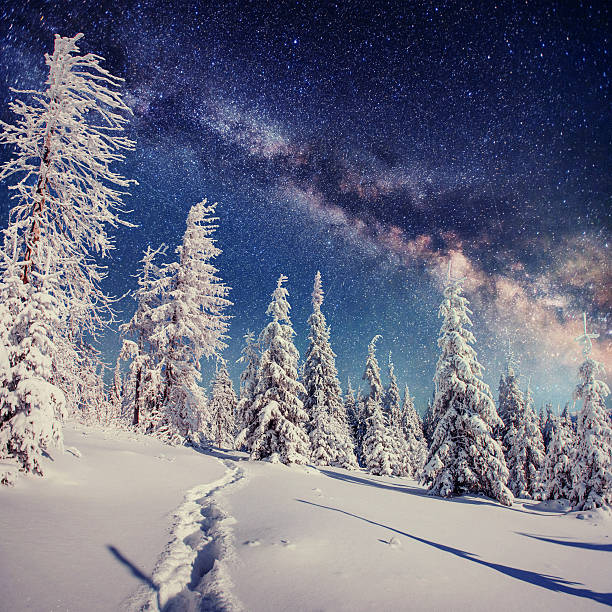 istock starry sky in winter snowy night. 617741724