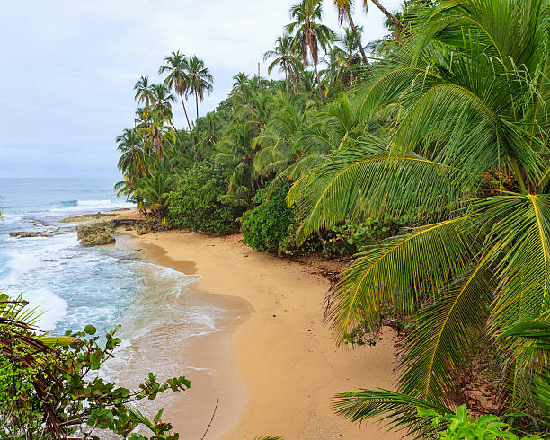 istock Idyllic beach Manzanillo Costa Rica 617743266