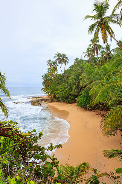 istock Idyllic beach Manzanillo Costa Rica 617743420