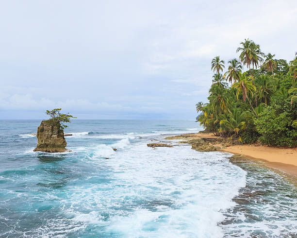 istock Idyllic beach Manzanillo Costa Rica 617743560