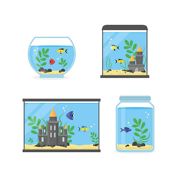 Glass Aquarium Set for Interior Home. Vector Glass Aquarium Set for Interior Home. Equipment Hobby Flat Design Style. Vector illustration goldfish bowl stock illustrations