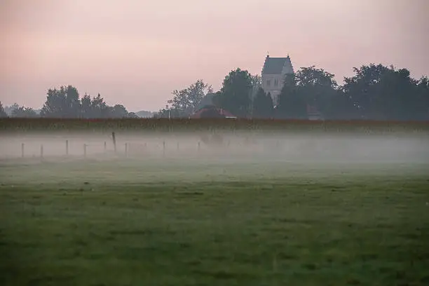 Old churchtower over corn field in morning fog. Geesteren. Gelderland. The Netherlands.