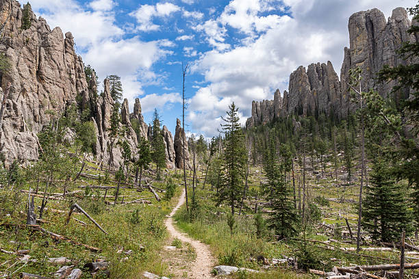 Cathedral Spires Trail A trail by rock formations in the Black Hills of South Dakota. black hills photos stock pictures, royalty-free photos & images