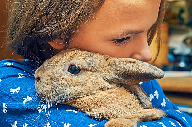 istock Nice girl embracing a funny rabbit 617757440