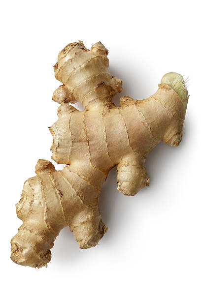 vegetables: ginger isolated on white background - thai culture thai cuisine spice ingredient imagens e fotografias de stock