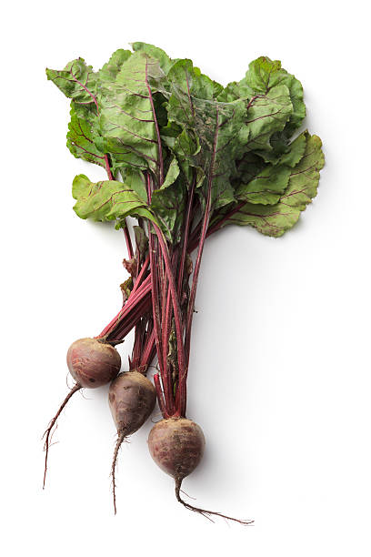 vegetables: beetroot isolated on white background - beet common beet isolated root vegetable imagens e fotografias de stock