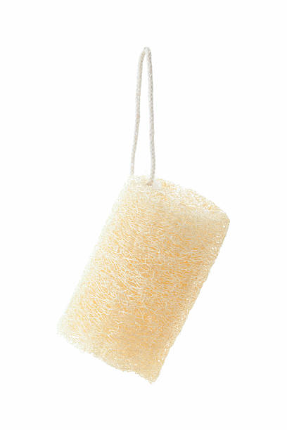 istock loofah natural sponge 617758916