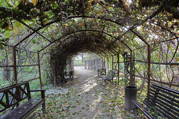 istock Autumn city park 617762768
