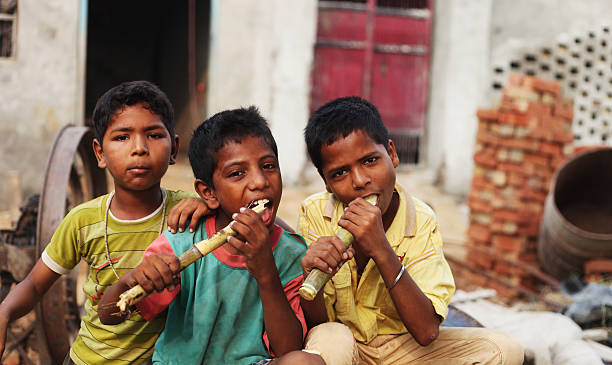 Group of children enjoying sugarcane stock photo