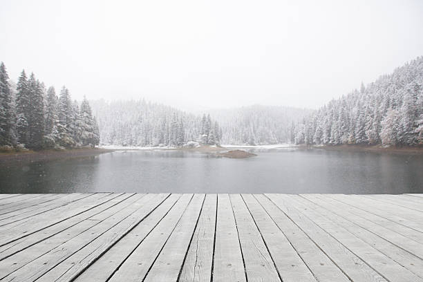 istock wooden floor leading to nature 617771478