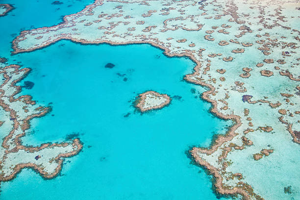 istock Aerial View of the Heart Reef 617773880
