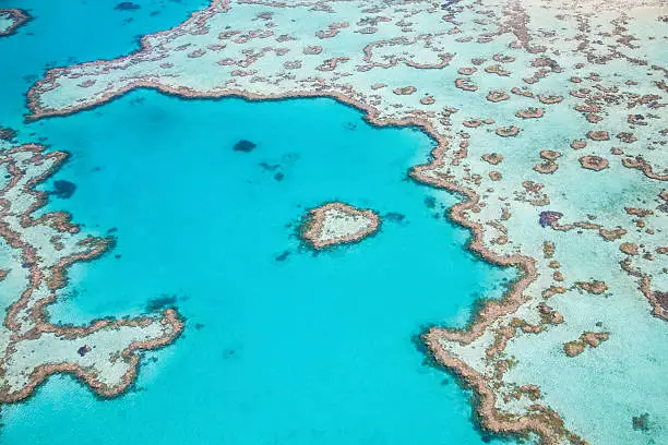 Photography of the Heart Reef in the Great Barrier Reef on a scenic flight.