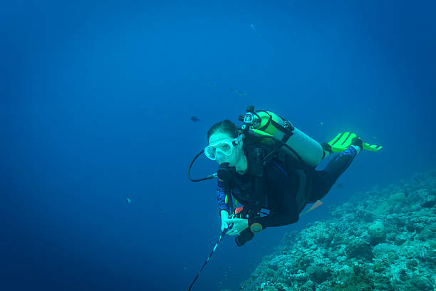 istock Diving Blue Corner, Palau - Micronesia 617777354