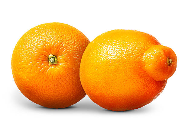 istock Group of oranges and mandarins isolated on white background 617863454