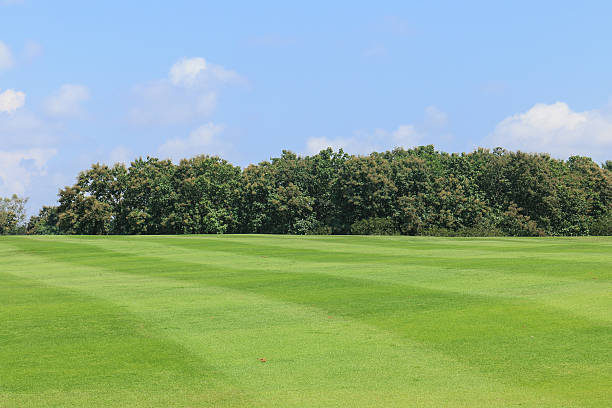 istock green field pattern on blue sky background with brake 617863466