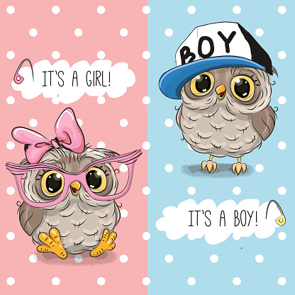 Baby Shower greeting card with Owls boy and girl