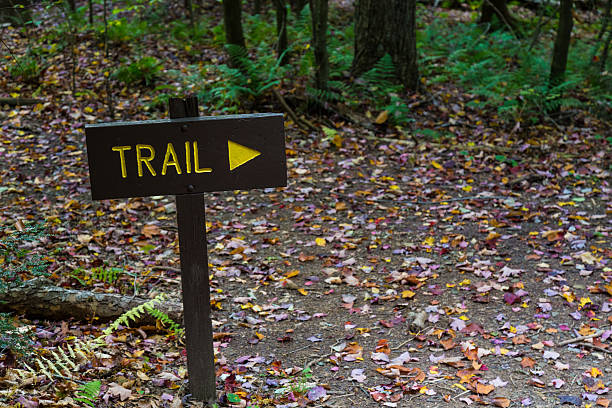 istock Trail Directional Sign in Woods 617866548