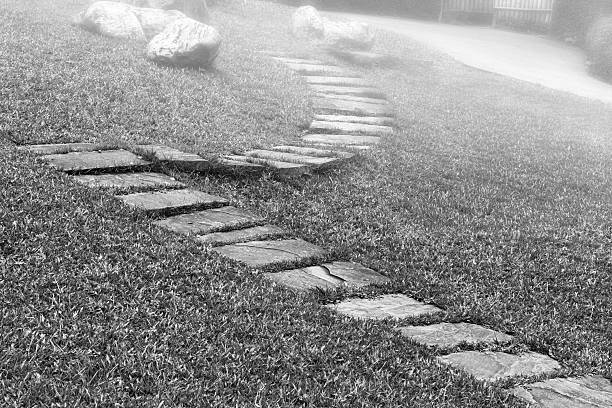 istock Stone way in green grass in monochrome 617869528